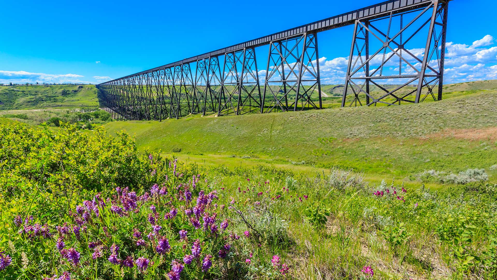 Lethbridge Viaduct crossing a green river valley.