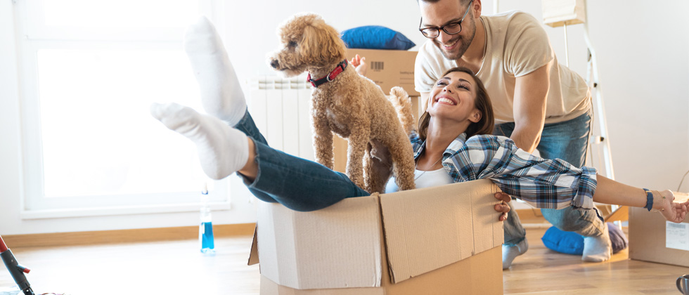 Woman in a moving box with her dog on her lap as her boyfriend pushes her