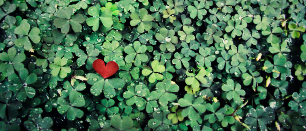 A cutout of a heart laying in a field of clovers