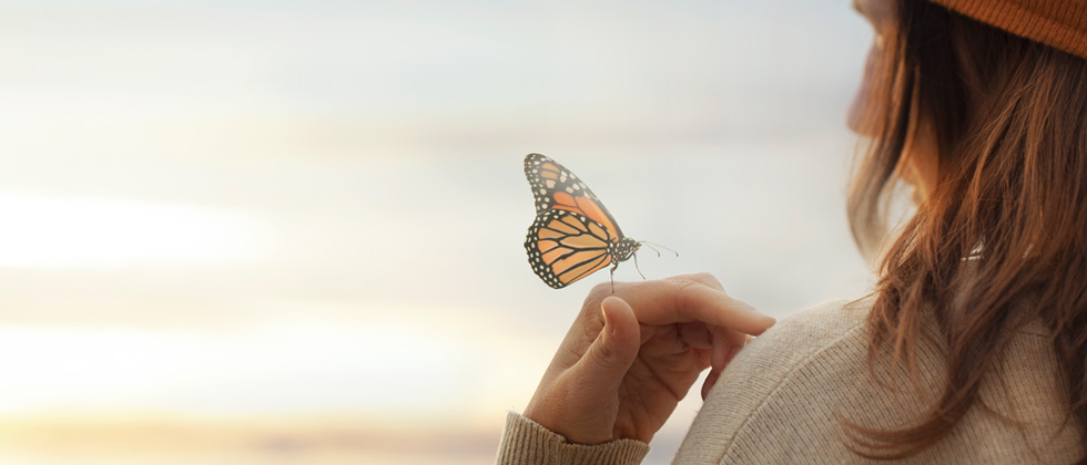 A butterfly landing on a woman's hand at the beach