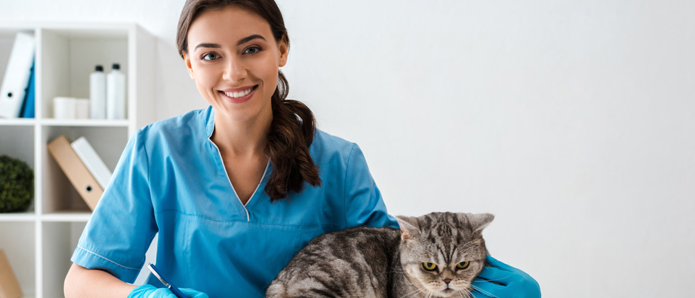 A woman in scrubs holding a cat in a vet's office