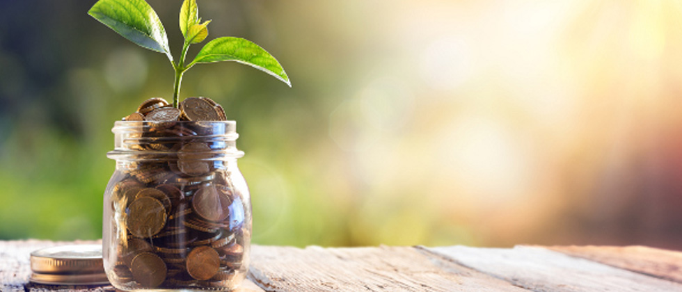 A mason jar filled with coins and a plant sprouting from the top