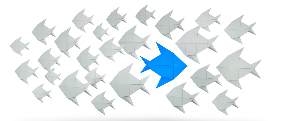 A school of grey fish with one big blue fish in the middle