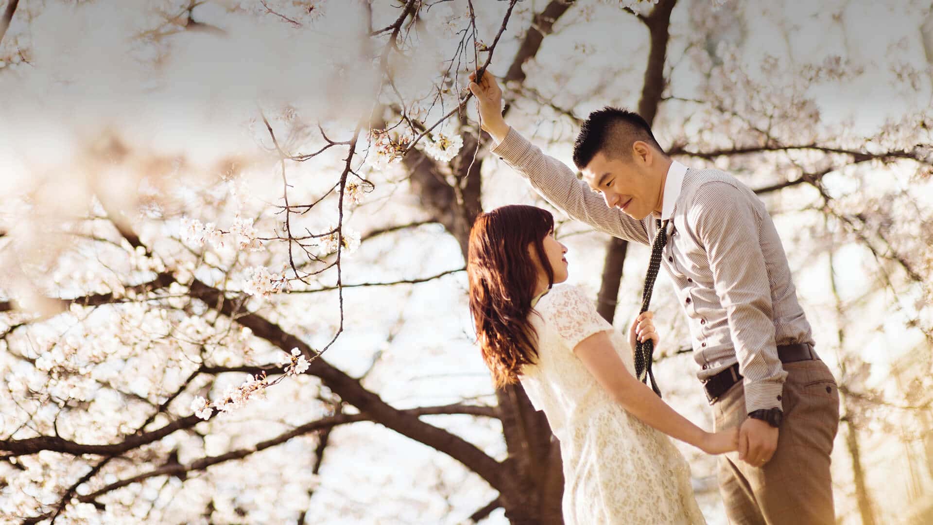 Korean dating symbolized by a couple that stands under a cherry blossom tree in canada and looks straight in the eyes