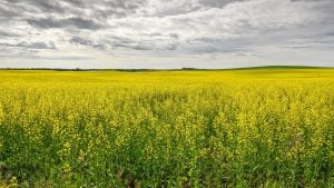 Panorama to illustrate dating in airdrie