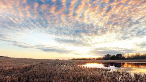 Panorama to illustrate dating in brandon