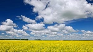 Panorama to illustrate dating in dauphin