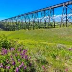 Panorama to illustrate dating in lethbridge