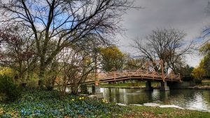 Panorama to illustrate dating in kitchener