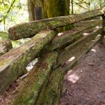 Panorama to illustrate dating in maple ridge