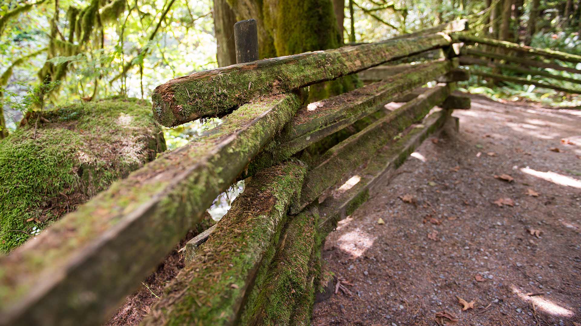 Panorama to illustrate dating in maple ridge