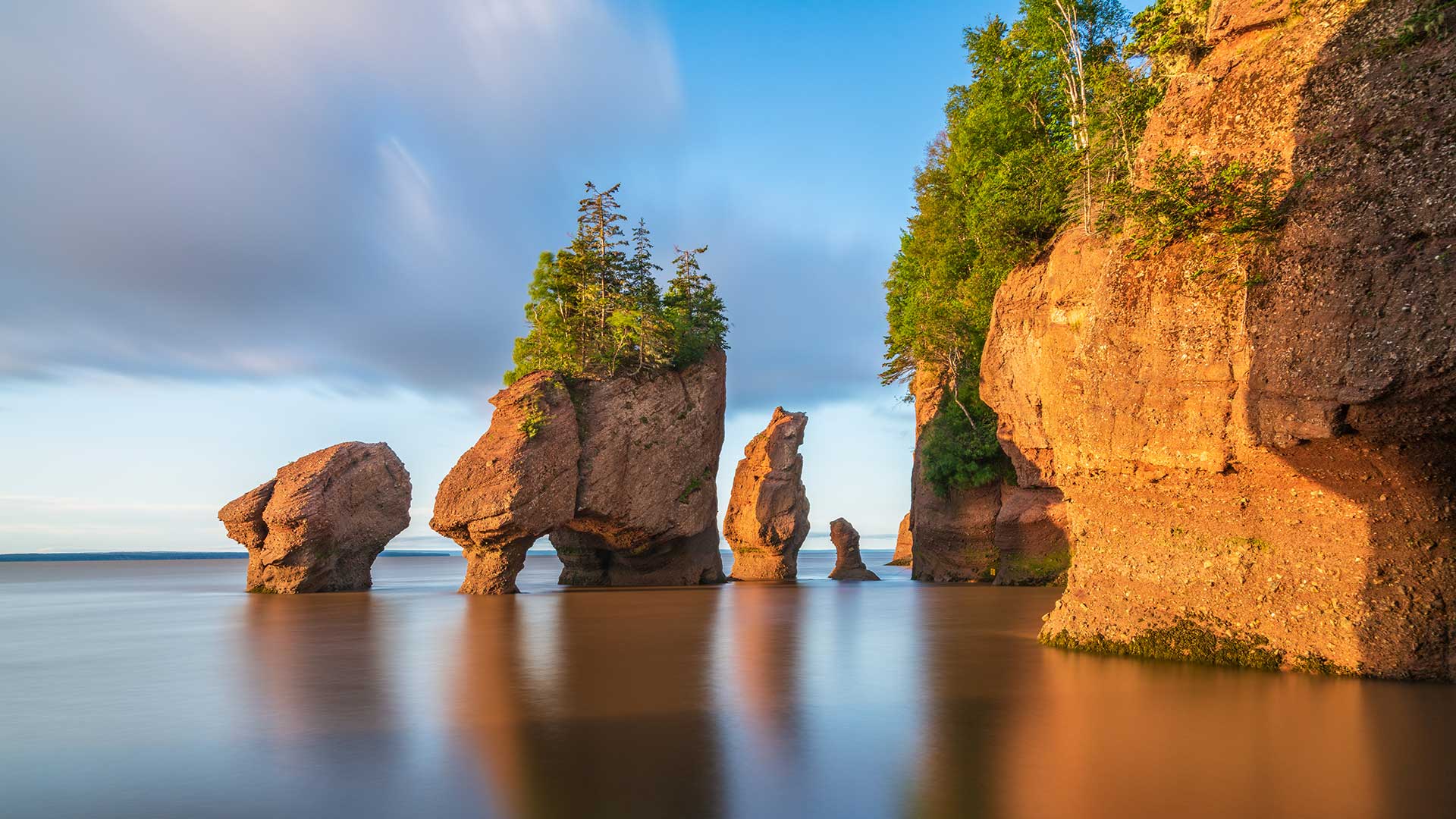 компаньонки