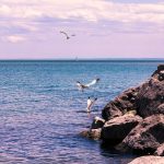 Panorama to illustrate dating in oakville