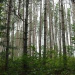 Panorama to illustrate dating in uxbridge