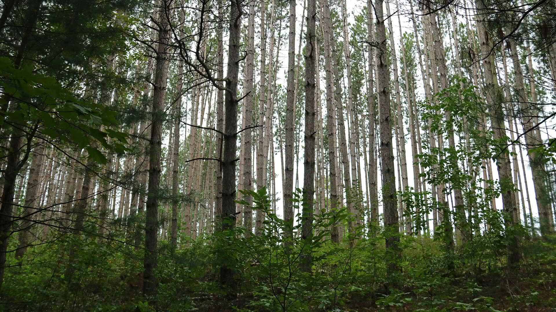 Panorama to illustrate dating in uxbridge