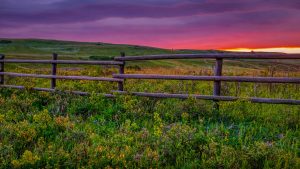 Panorama to illustrate dating in viking